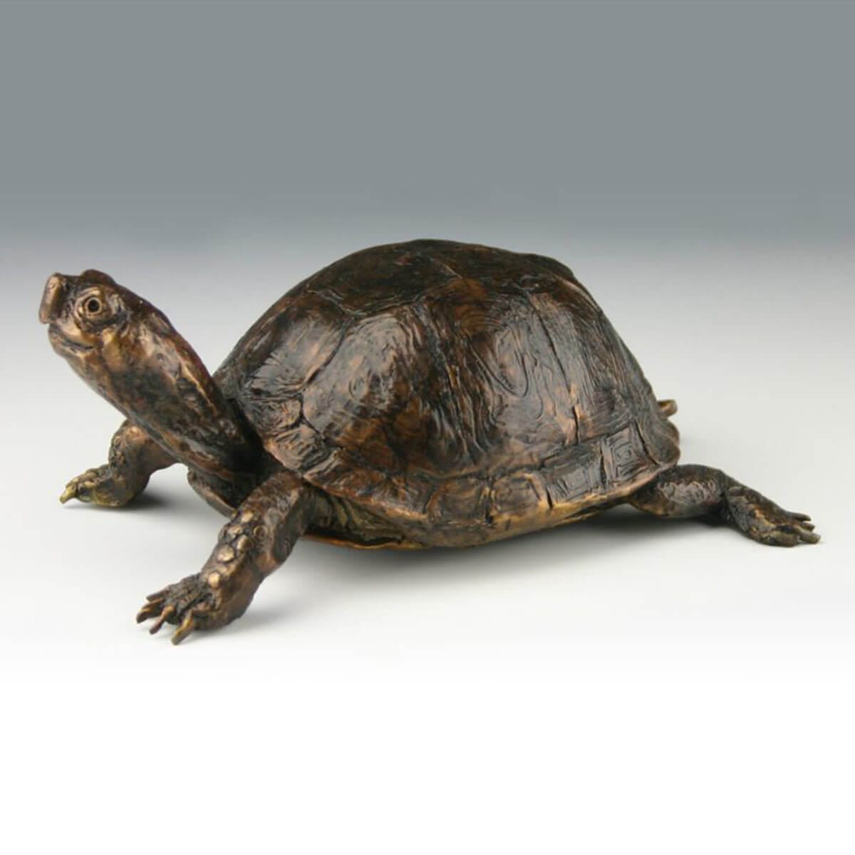 Eastern Box Turtle bronze sculpture by Mark Dziewior at 7 Mile Creek Studio.