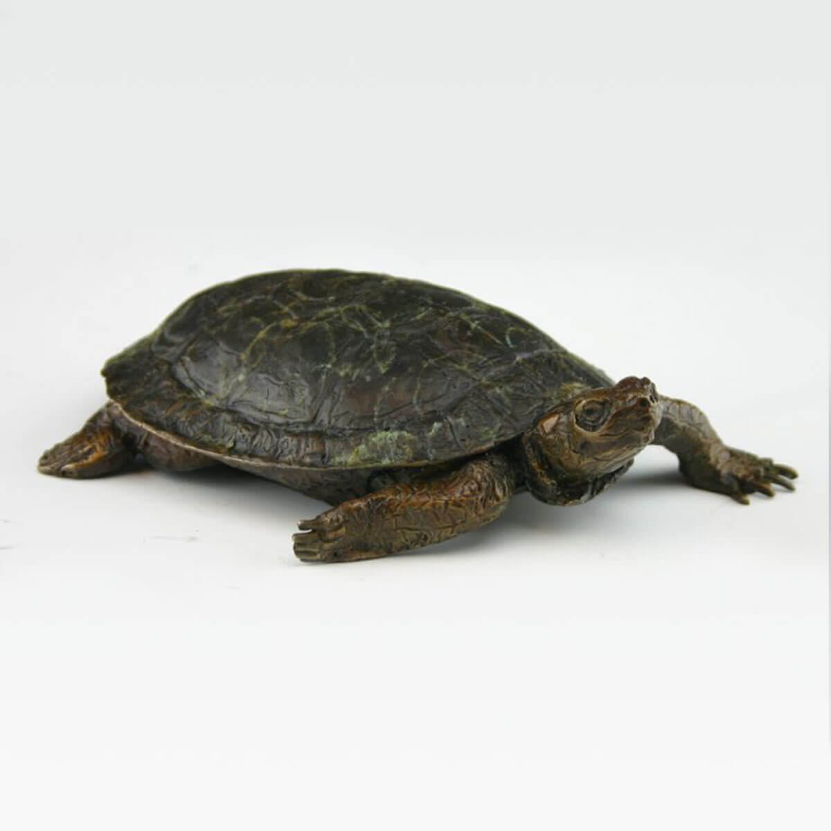 Painted Turtle bronze sculpture by Mark Dziewior at 7 Mile Creek Studio.